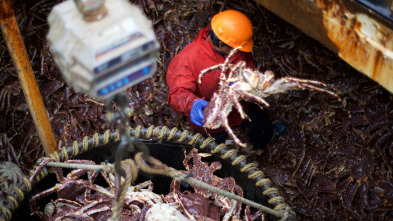 Pesca radical (T12): Trato injusto
