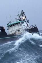 Pesca radical (T13): Golpes demoledores