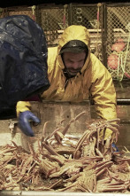 Pesca radical (T13): Mega Tormenta Ártica