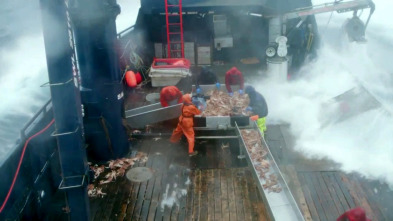 Imagen de Pesca radical: Contra viento y marea - 2