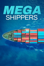 Transportes extraordinarios 