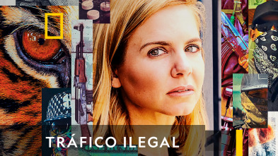 Imagen de Tráfico ilegal  - 2