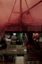 Imagen de Pesca radical: Peligro cercano - 1