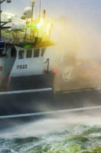 Pesca radical (T16): Ola gigantesca