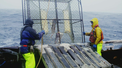 Pesca radical (T16): Un problema como María