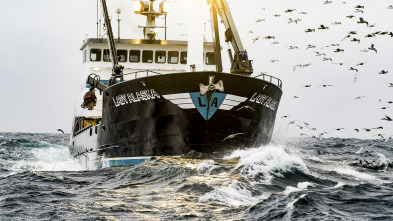 Pesca radical (T17): Arrastrero ruso