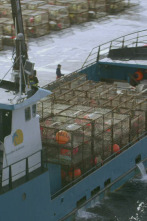 Imagen de Pesca radical: Máquina del tiempo - 1