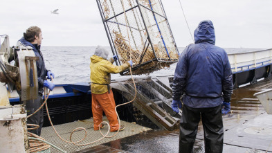 Imagen de Pesca radical (T17): Fuerza mayor - 2