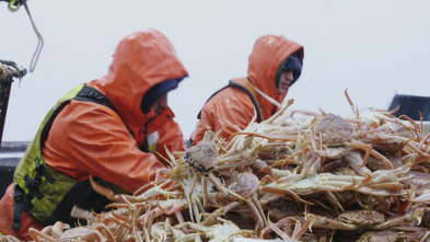 Pesca radical (T17): La verdad te hará libre