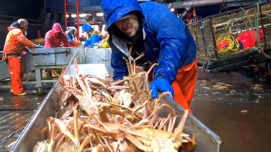 Pesca radical (T17): El primero que llega gana