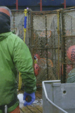 Pesca radical (T17): Sobre el raíl