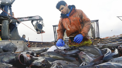 Pesca radical (T19): Mundo frío y duro