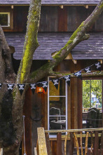 Mi casa en un árbol: Escondite para piratas en los árboles