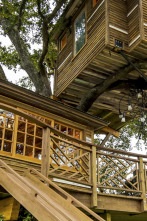 Imagen de Mi casa en un árbol (T3): Batiendo récords - 1