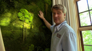 Mi casa en un árbol (T2): Vincent Van Árbol