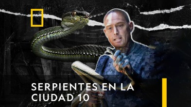 Imagen de Serpientes en la ciudad  - 7