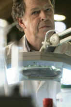 Fringe (Al límite) (T1): Ep.11 Desde dentro