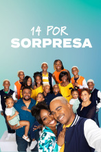 14 por sorpresa (T3)