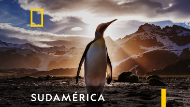 Imagen de Sudamérica  - 2