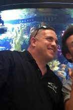 Acuarios XXL (T6): El acuario real de Prince Royce