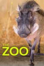 El zoo del Bronx (T1)