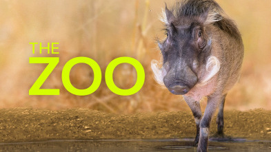 El zoo del Bronx (T1)
