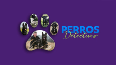 Imagen de Perros detectives (T1) - 2