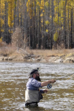 Fish Or Die: La guarida del lobo del río