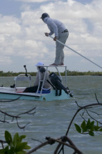 Imagen de Fish Or Die: El gran macabijo fatal - 1