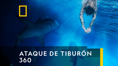 Imagen de Ataque de tiburón 360: Nadadores ¡cuidado! - 2