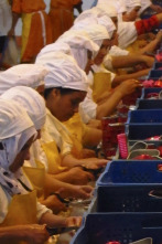¿Cómo lo hacen?: Sardinas, scooters y asientos