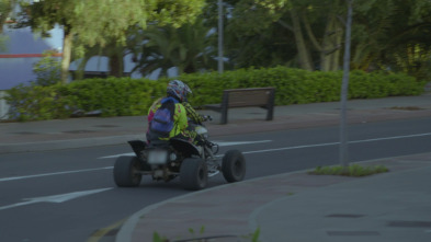Control de carreteras (T5): Ep.8