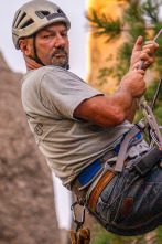 Oro para novatos con Dave Turin (T1)