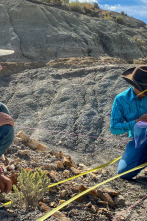 Imagen de Dino Hunters (T2): Choque de cráneo - 1