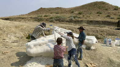 Imagen de Dino Hunters (T2): En plena carrera - 2