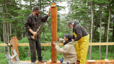 Imagen de Construyendo Alaska (T9): Cambiar a un plano radiológico - 2