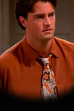 Friends (T1): Ep.11 El de la Señora Bing