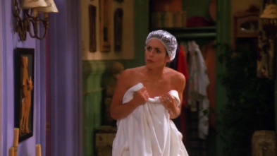 Friends (T1): Ep.13 El de los melones