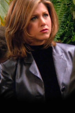 Friends (T2): Ep.15 El de cuando Ross y Rachel... ya sabes