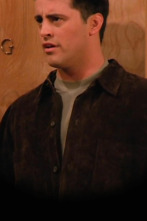 Friends (T2): Ep.17 El de cuando Eddie viene a casa