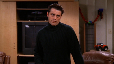 Friends (T5): Ep.10 El de la hermana inapropiada