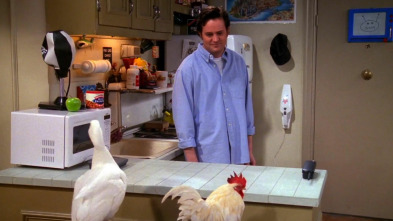 Friends (T6): Ep.20 El de Mac y C.H.E.S.S.E.