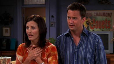 Friends (T10): Ep.7 El del estudio de la casa