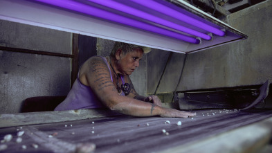 Imagen de Cazadores de gemas: El apoyo extranjero - 2