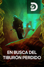 Imagen de En busca del tiburón perdido  - 1