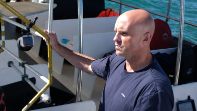 Imagen de En busca del tiburón perdido - 2