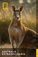 Imagen de Australia extraordinaria  - 1