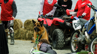Imagen de Hudson & Rex (T6): Ep.2 El bueno, el malo y el Rex - 1