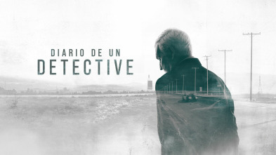Imagen de Diario de un detective  - 2
