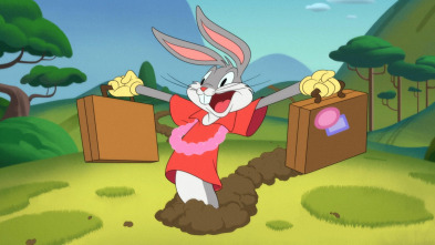Imagen de Looney Tunes... (T1): Duende engañado / Gag de la bandera de Marvin: la bandera no se queda recta / Casa a estrellar - 2